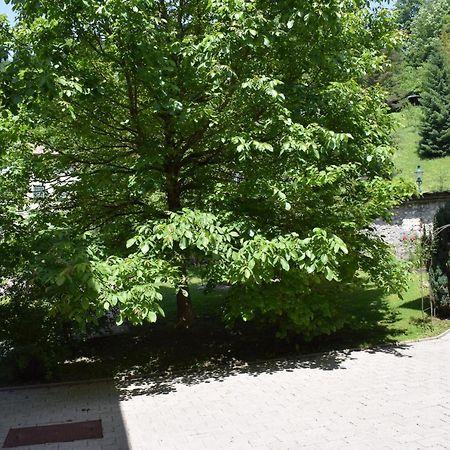 Fruehstueckspension Josefinum Bad Aussee Bagian luar foto